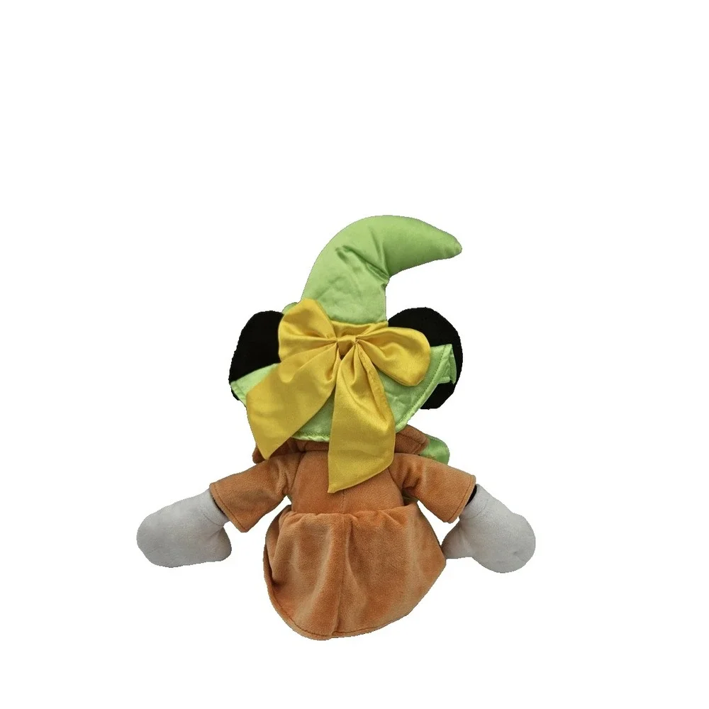Disney bring home